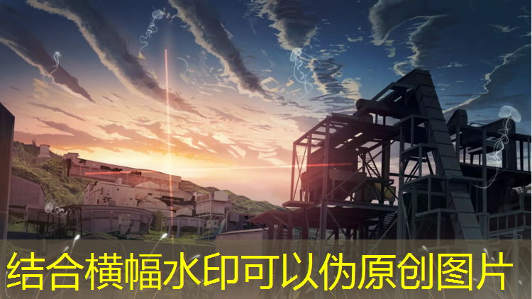 <strong>男室内健身长袖上衣</strong>