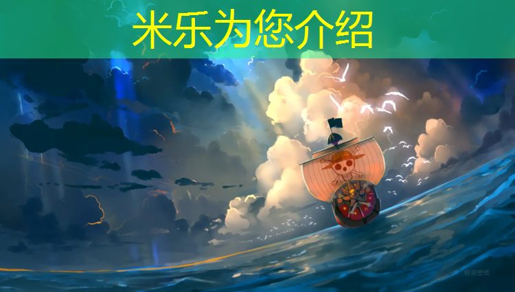 <strong>米乐为您介绍：龙力跆拳道护具</strong>